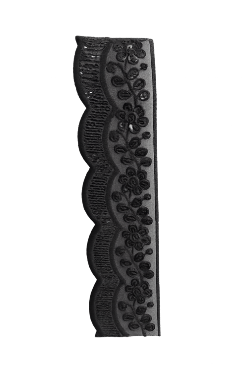 Embroidered Lace Border